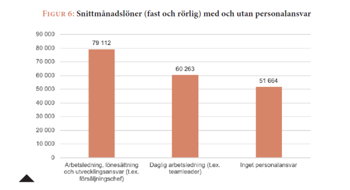 Skärmbild 2025-06-13 153058